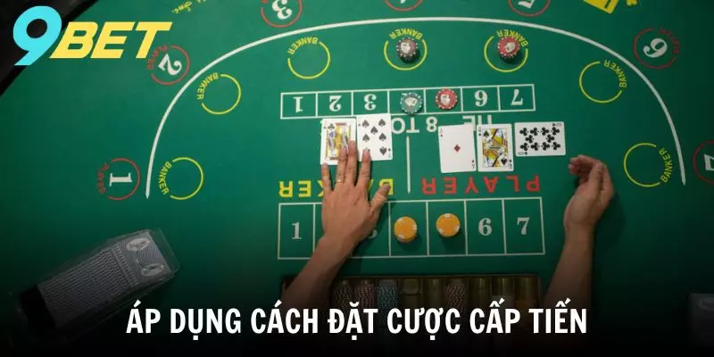 Áp dụng cách đặt cược cấp tiến để đầu tư Baccarat thắng lớn