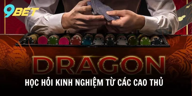 Tìm hiểu kinh nghiệm từ cao thủ để chinh phục game Dragon Tiger