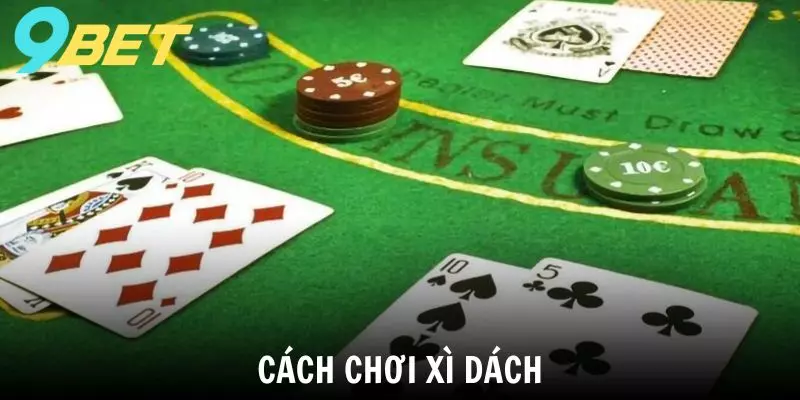 Cách chơi xì dách và những lưu ý để bạn bất bại